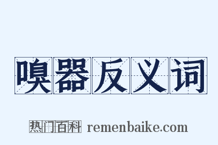 嗅器反义词是什么意思的图片